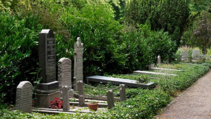 Odnowa cmentarza Twierdzy Przemyśl: pierwszy etap prac zakończony