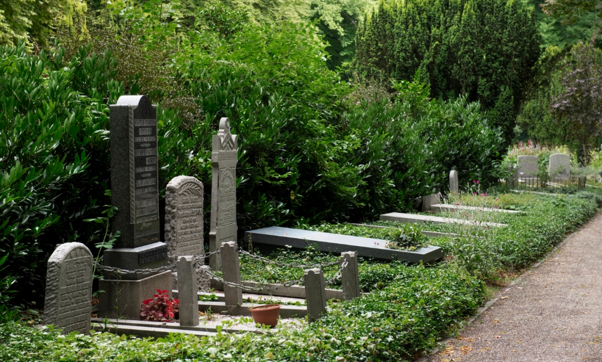 Odnowa cmentarza Twierdzy Przemyśl: pierwszy etap prac zakończony
