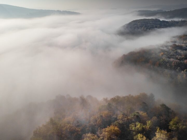 Ostrzeżenie meteorologiczne dotyczące niskiej widzialności w mgłach na terenie podkarpackiego