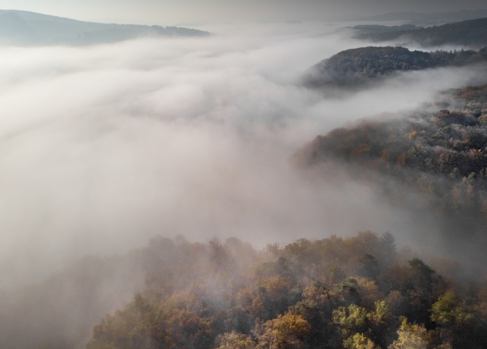 Ostrzeżenie meteorologiczne dotyczące niskiej widzialności w mgłach na terenie podkarpackiego