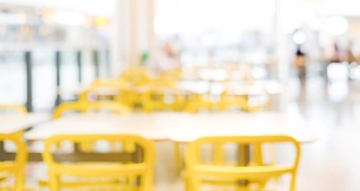 Misiowe odkrycia w Przemyślu: dzieci poznają historię pluszowych bohaterów