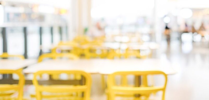 Misiowe odkrycia w Przemyślu: dzieci poznają historię pluszowych bohaterów