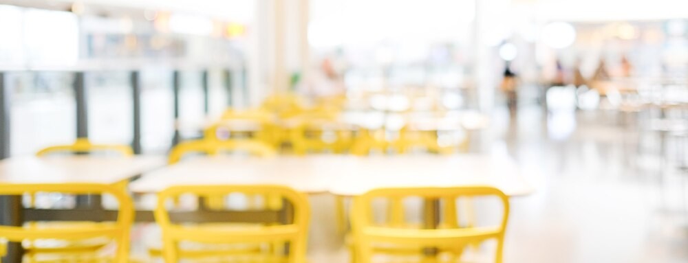 Misiowe odkrycia w Przemyślu: dzieci poznają historię pluszowych bohaterów