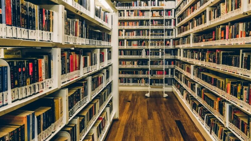 Literackie odkrycia w Przemyskiej Bibliotece Publicznej dla Młodzieży