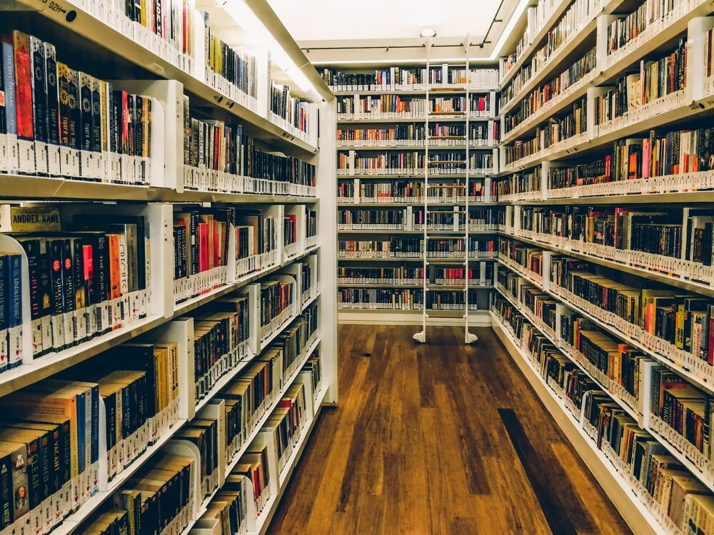 Literackie odkrycia w Przemyskiej Bibliotece Publicznej dla Młodzieży