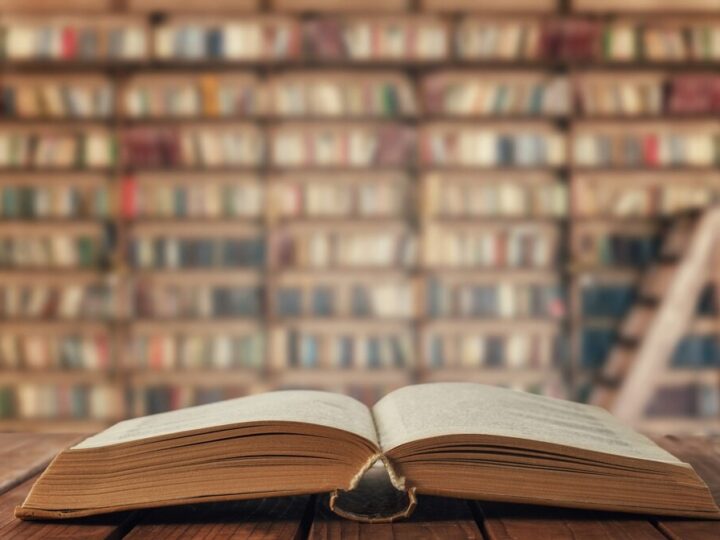 Misie w akcji: dzieci odkrywają przyjaźń i magię książek w Przemyślu