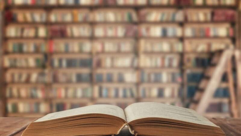 Misie w akcji: dzieci odkrywają przyjaźń i magię książek w Przemyślu