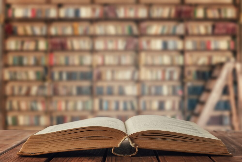 Misie w akcji: dzieci odkrywają przyjaźń i magię książek w Przemyślu