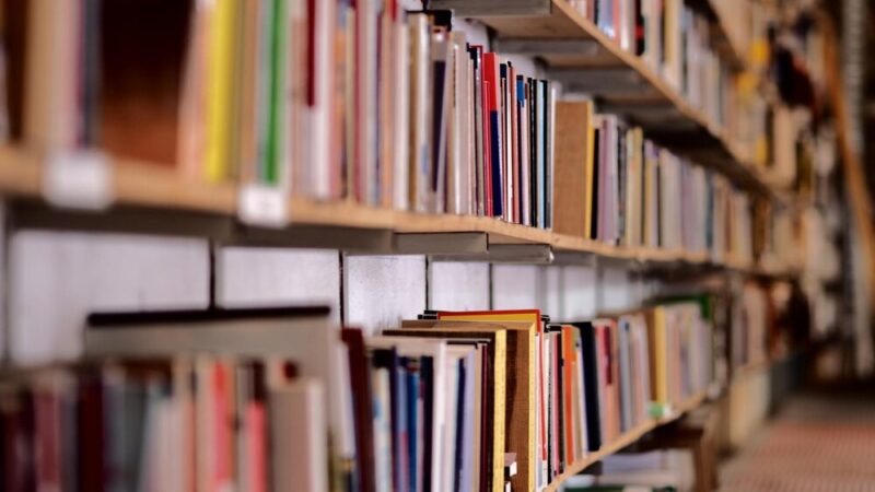 Sztuka w codzienności: nowa inicjatywa w Przemyskiej Bibliotece Publicznej