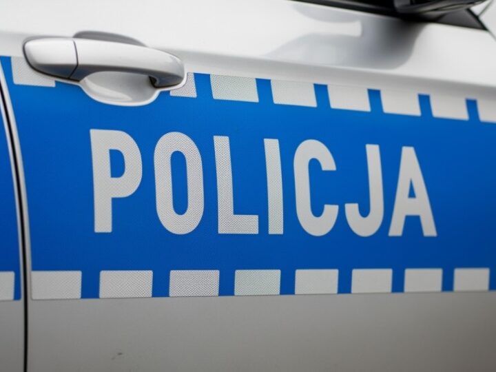 Tymczasowy areszt dla 24-latka z dużą ilością narkotyków