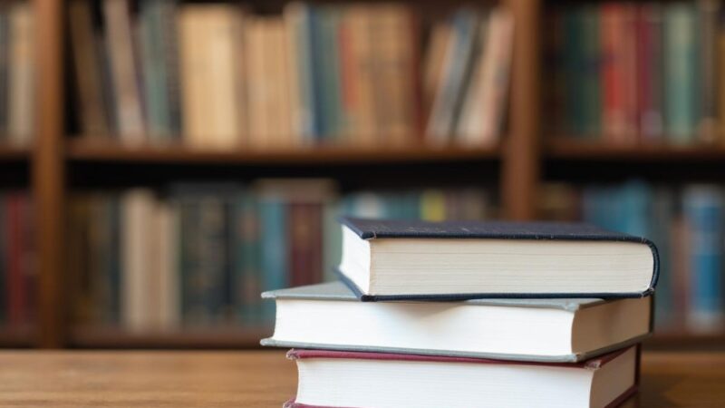 Kamishibai w Przemyślu: Odkrywanie magii opowieści i przyjaźni z czworonogami