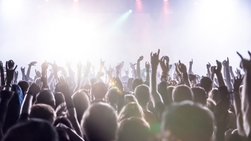 Koncert „Uciekaj skoro świt” – Muzyczne hołdy dla Krajewskiego w Zamku Kazimierzowskim