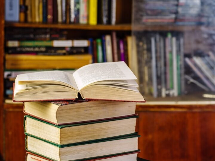 Kocie inspiracje: warsztaty w bibliotece dla miłośników czworonogów w Przemyślu