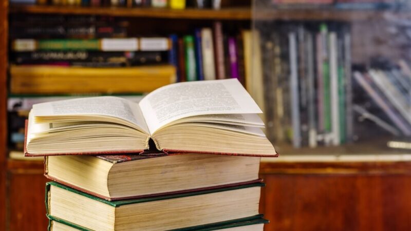 Kocie inspiracje: warsztaty w bibliotece dla miłośników czworonogów w Przemyślu