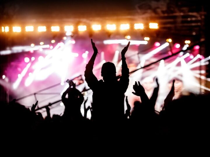 Zielony festiwal w Przemyślu – rośliny w supercenach czekają na Ciebie!