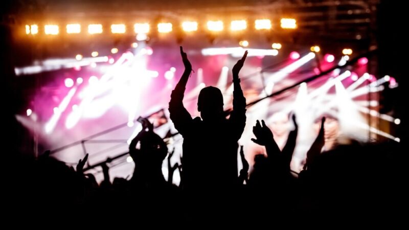 Zielony festiwal w Przemyślu – rośliny w supercenach czekają na Ciebie!