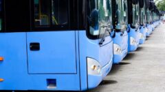 Na cmentarze pojadą darmowe linie A i B